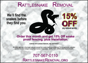 rattlesnake removal 1