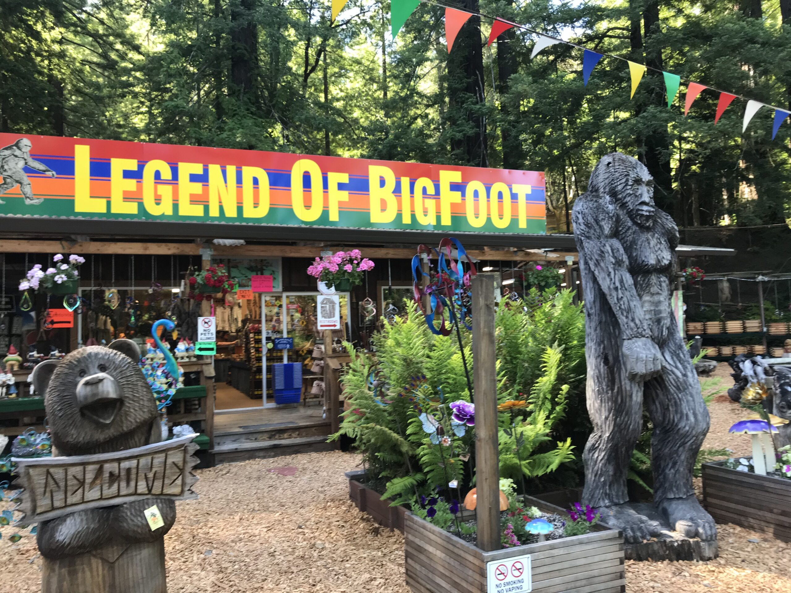 Bigfoot (Chasing Bigfoot: The Quest For Truth)