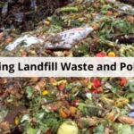 Despite new law, Concord residents not required to recycle food scraps yet